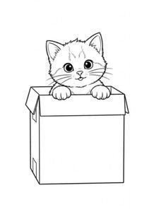 Cat in a Box Coloring Page